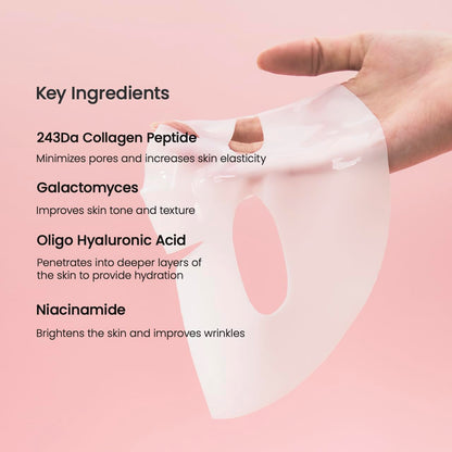 Bio-Collagen Real Deep Mask, Hydrating Overnight Hydrogel Face Mask, Pore Minimizing, Elasticity, Plumping, Travel Essentials & Self Care Gifts for Women, Korean Skin Care | 1.19Oz(34G) X 4Ea